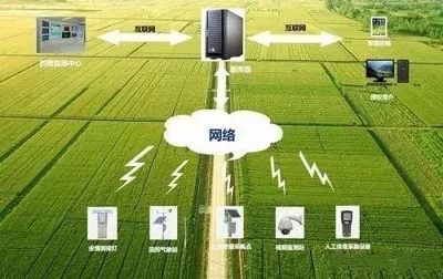 未來農(nóng)業(yè)科技暢想曲 植物工廠、智慧農(nóng)業(yè)與功能食品的技術(shù)交響